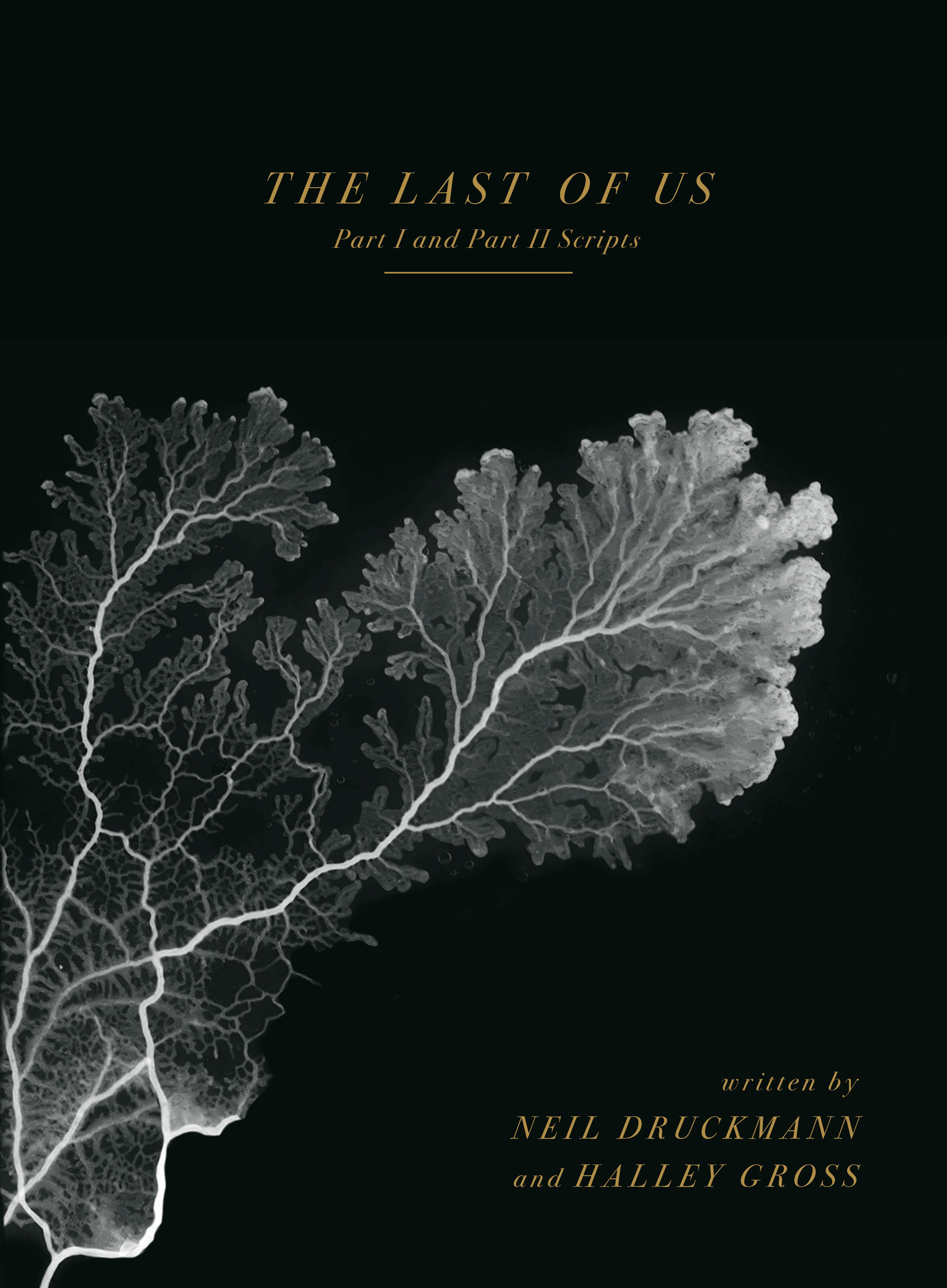The Last of Us: Part I and Part II Scripts (SCHD: 12/16/2025)