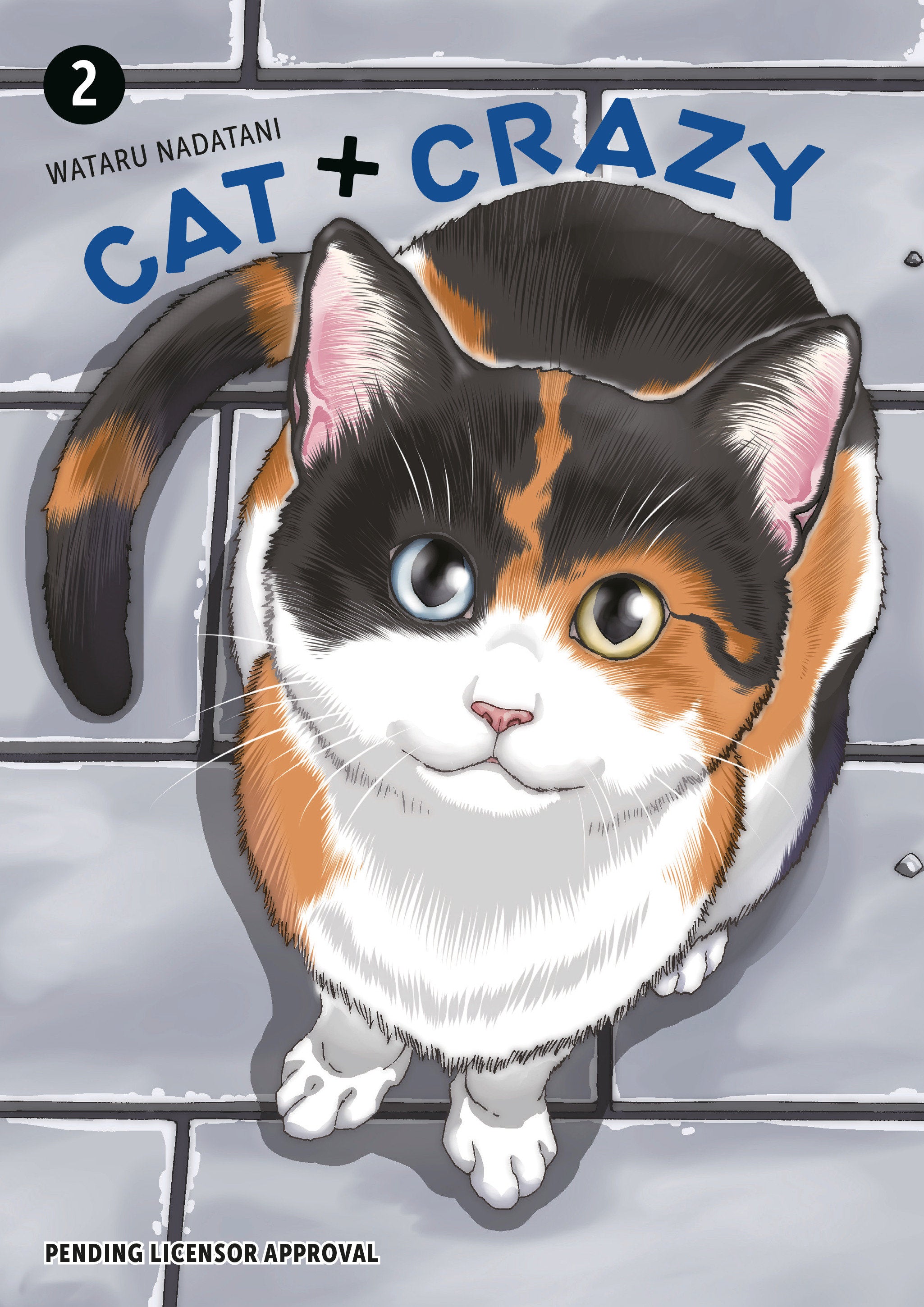 Cat + Crazy Volume 2 (SCHD: 10/28/2025)