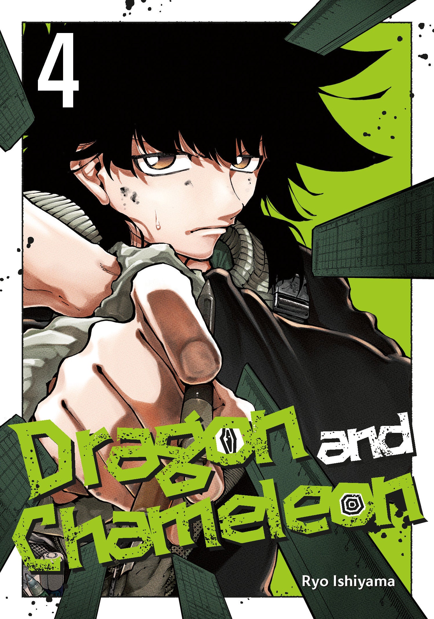 Dragon and Chameleon 04 (SCHD: 08/12/2025)